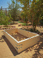 DIY (Do It Yourself)- Raised Bed