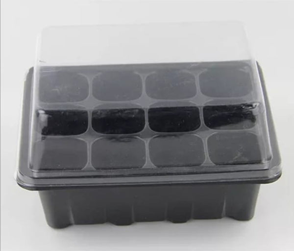 Mini Germination Tray with cover