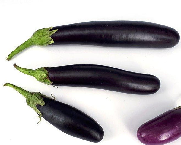 Eggplant Seeds - Long purple, heirloom