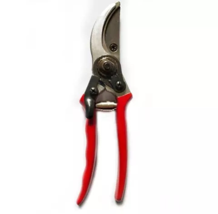 Curved pruning scissors – Raised.Bed_UAE