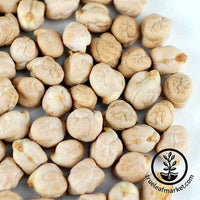 Garbanzo Bean - Organic - Sprouting Seeds