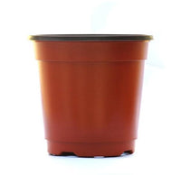 Round germination pot - 10 pieces