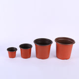 Round germination pot - 10 pieces