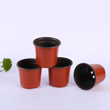 Round germination pot - 10 pieces