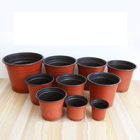 Round germination pot - 10 pieces