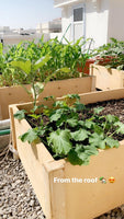 Raised Bed with Base